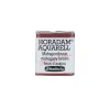 Livraison internationale Schmincke Horadam Aquarell Couleurs Aquarelle Extra-fine Pour Artiste Brun D’acajou 14672 13