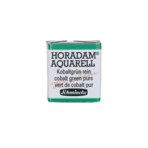 magasins pas chers Schmincke Horadam Aquarell Couleurs Aquarelle Extra-fine Pour Artiste Vert De Cobalt Pur 14535 7