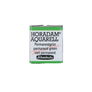 magasin Schmincke Horadam Aquarell Couleurs Aquarelle Extra-fine Pour Artiste Vert Permanent 14526 7